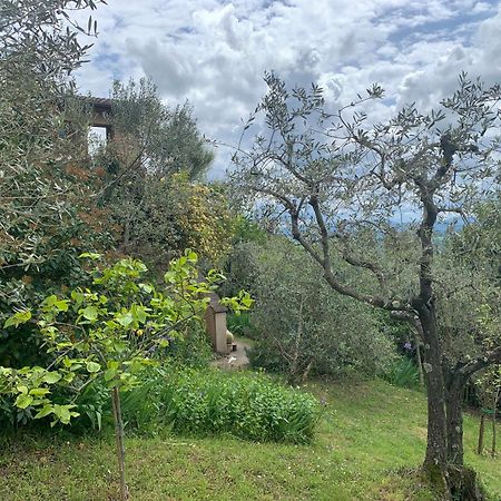Podere Casallorto Volterra Eksteriør billede