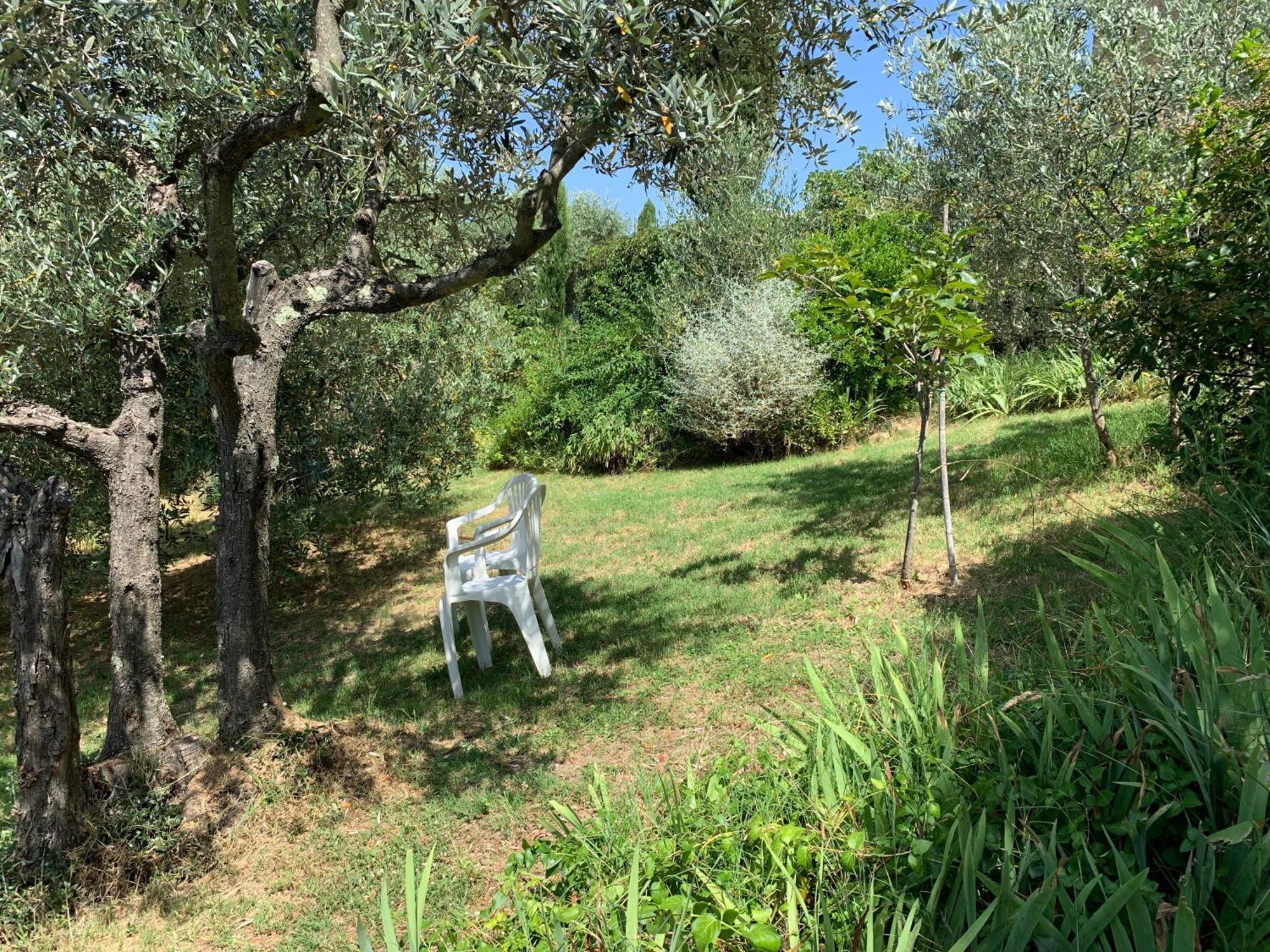 Podere Casallorto Volterra Eksteriør billede