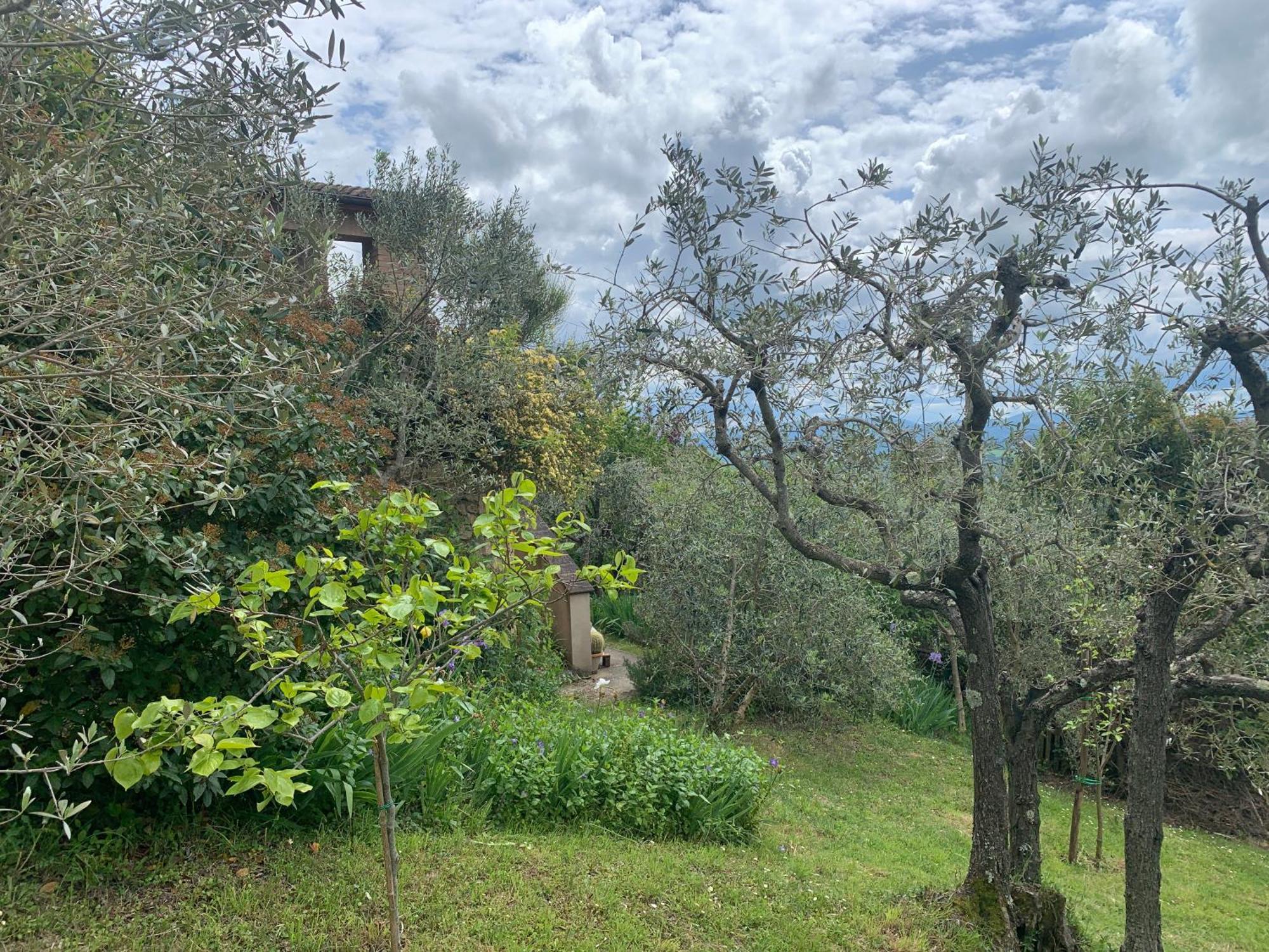 Podere Casallorto Volterra Eksteriør billede